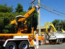 crane